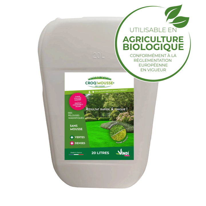 Engrais gazon liquide Croq'Mousse 20 L – Jusqu'à 2000 m²