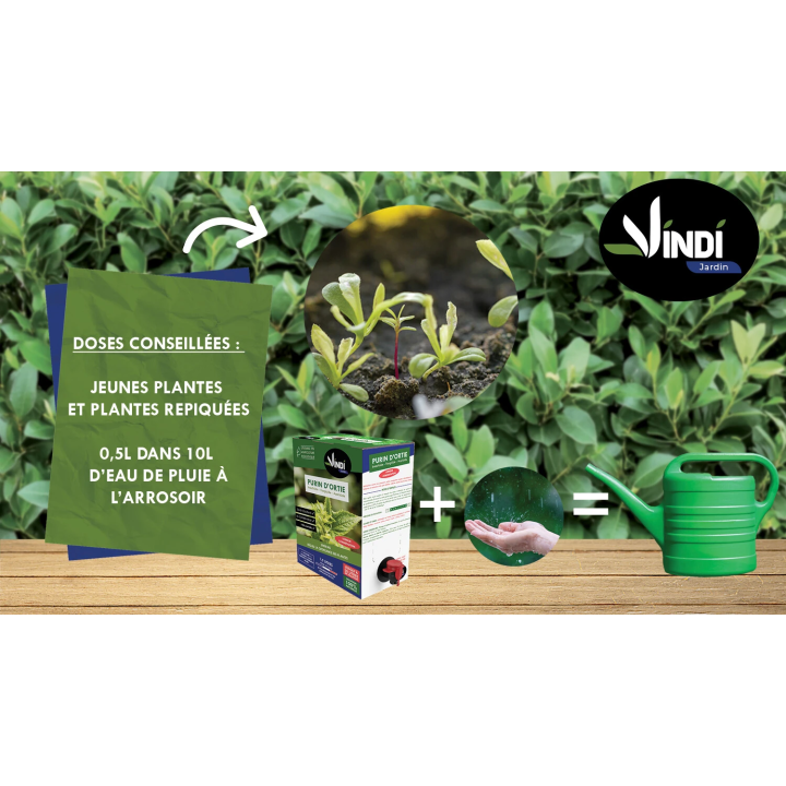 Purin d’Ortie Naturel pour Plantes & Potager - BIB 1,5L | Vindi Jardin