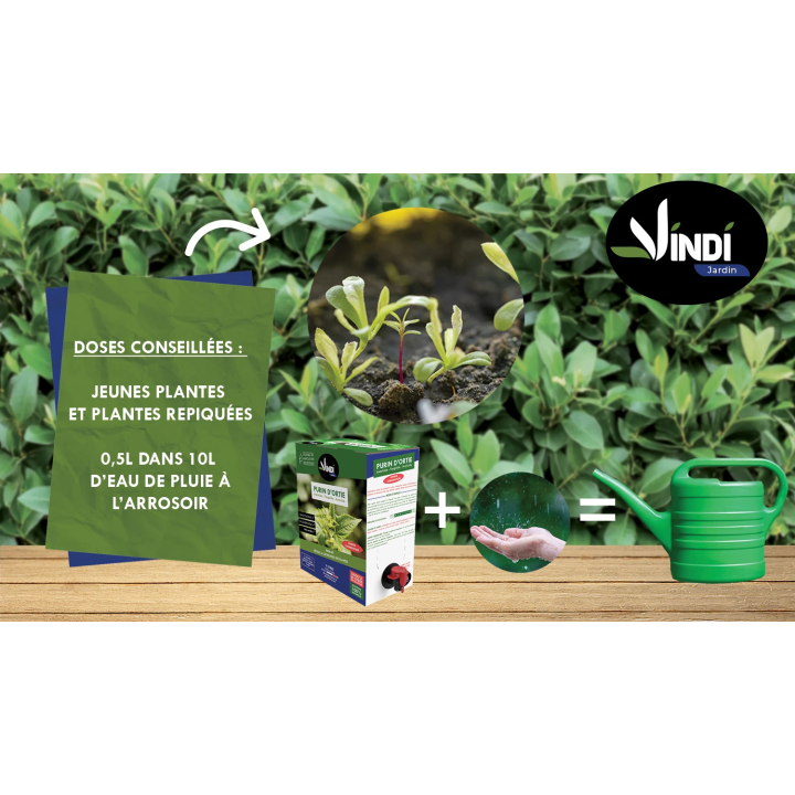 Purin d’Ortie Naturel pour Plantes & Potager - BIB 3L | Vindi Jardin
