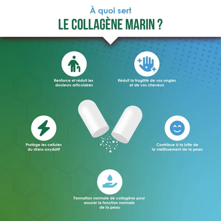 Collagène Marin, Acide Hyaluronique & Vitamines | Vindi Nutrity