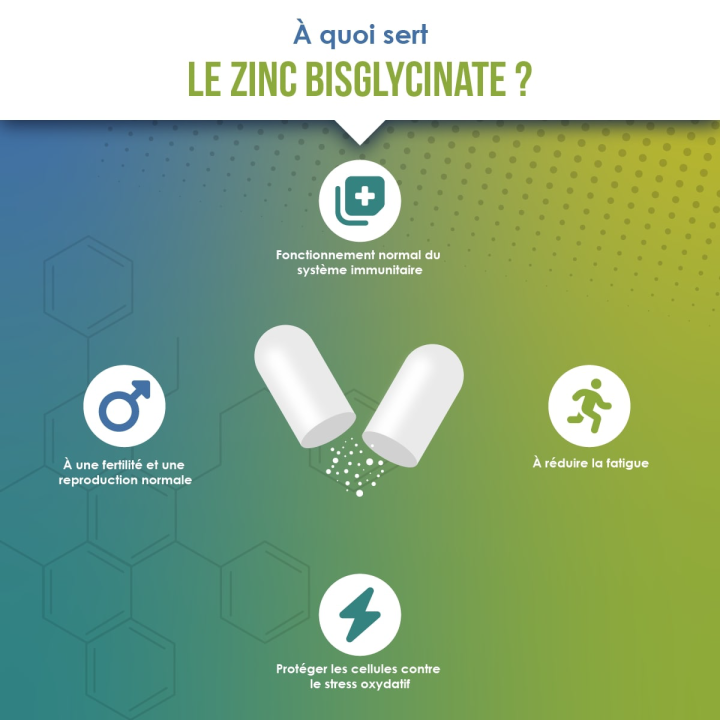 Zinc Bisglycinate & Vitamine B6 | Vindi Nutrity