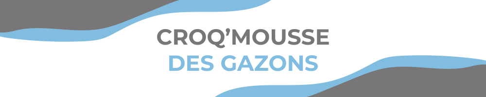 Engrais Gazon Professionnel Croq’Mousse | Vindi Laboratoire