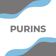 Purin