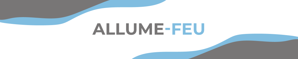 Allume-feu & Bioéthanol Professionnels | Vindi Laboratoire